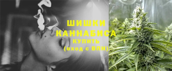 хмурый Покачи