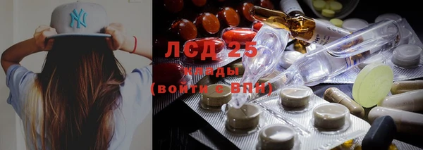 мяу мяу мука Абдулино
