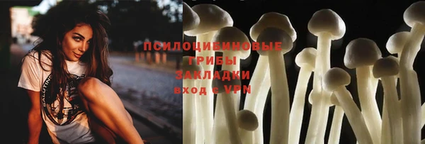 ECSTASY Абаза