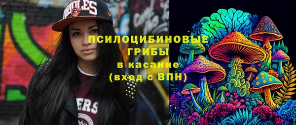 ECSTASY Абаза