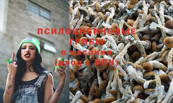 ECSTASY Абаза