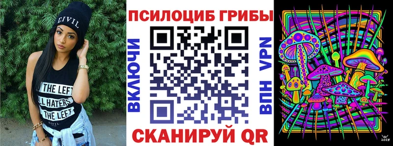 купить наркотики цена  Ермолино  Галлюциногенные грибы GOLDEN TEACHER 
